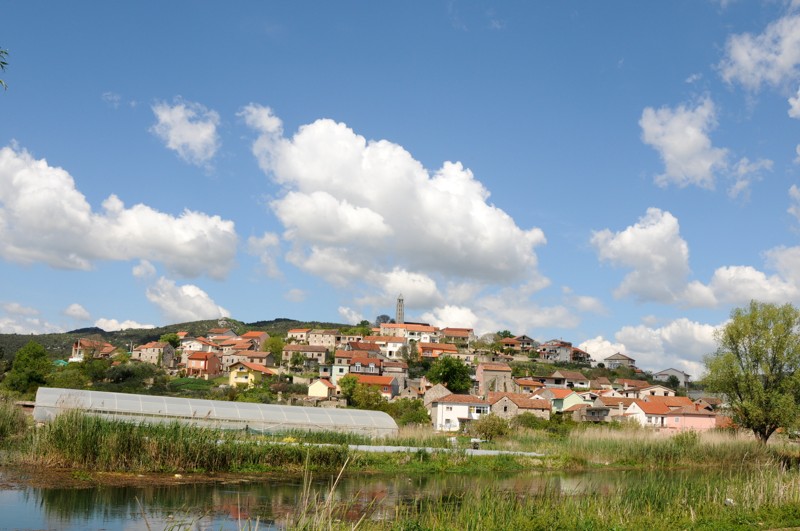 Cvjetnica (45)